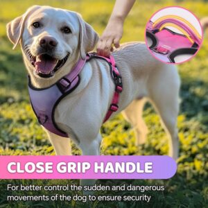 Pet LED Light Chest Strap, USB Rechargeable, Nighttime Reflective Light