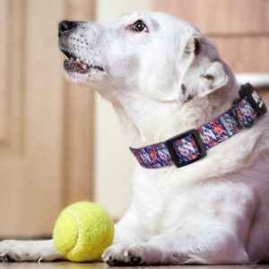 Reflective dog collar leash, polyester printed