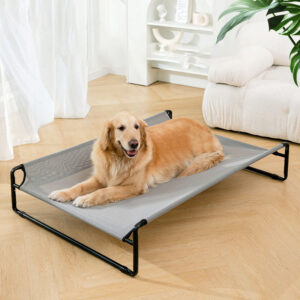 Dog camping bed, breathable, elevated, moisture-proof, and detachable, perfect for summer use.