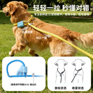 Anti-knotting P-type leash for medium and large dogs, Golden Retriever dog leash, dog training leash, anti-burst leash