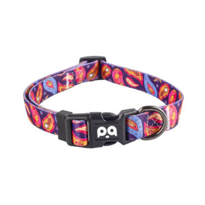 Pet dog collar, harness, leash