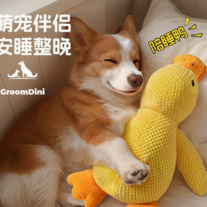 Dog toy, little yellow duck plush toy, self-addictive, durable, teething, and makes sounds; small to medium-sized dog pet toy.