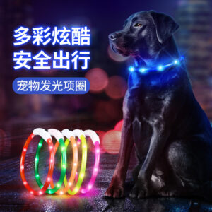 LED light-up collar for dogs and cats, rechargeable and glowing, suitable for nighttime use.