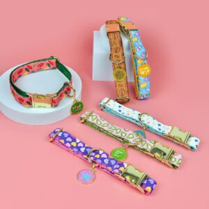 Pet cat and dog collars with decorative dog tags