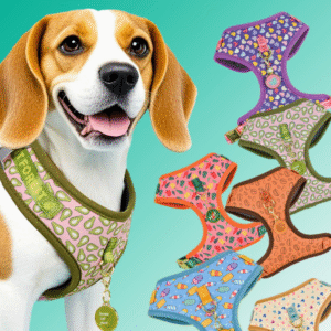 New Spring/Summer Fashionable and Cute Breathable Adjustable Neck-Friendly Dog Chest Brace Set with ID Tag for Pet Dogs